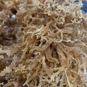 Wildcrafted Dried Sea Moss — 1 lb (16 oz)